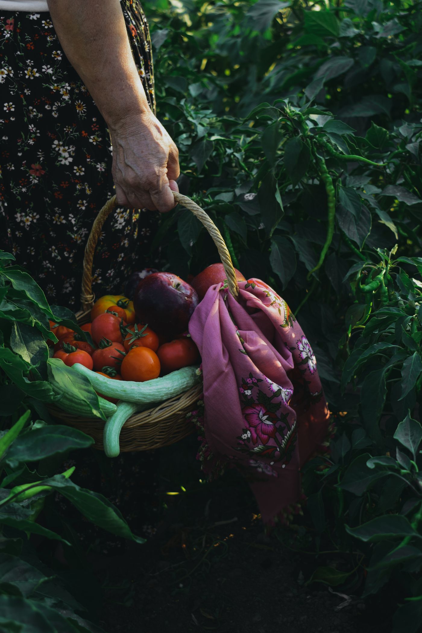Hunger