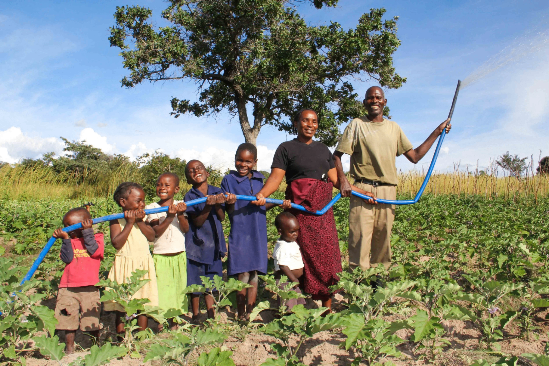 A Kenyan farming family irrigating their crops with a KickStart pump