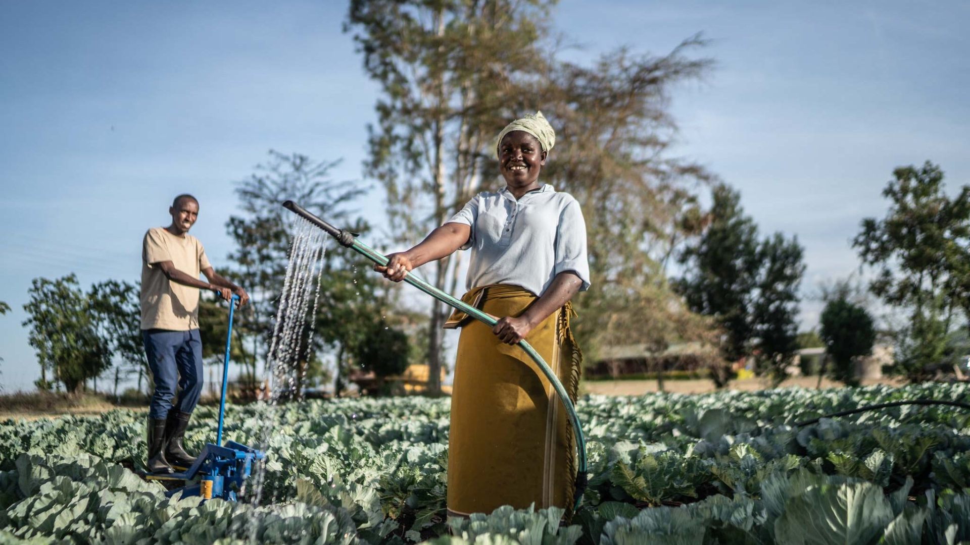 From poverty to prosperity in one season